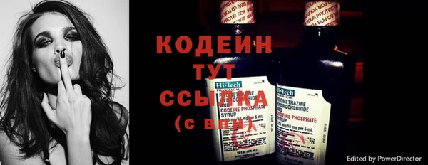 метадон Алексин
