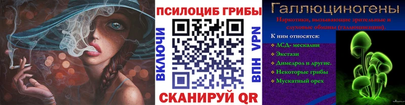 МЕГА ссылки  Богородск  Псилоцибиновые грибы ЛСД  дарнет шоп 